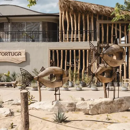 Seafront With Panoramic Terrace *