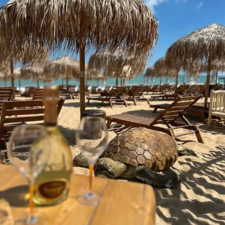 Seafront With Panoramic Terrace * Златни пясъци